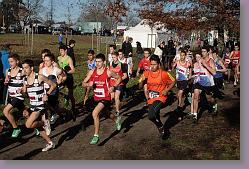 Begles 15.12.13 01 549 * 679 x 453 * (177KB)